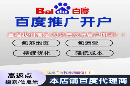 推广竞价策略优化：借鉴成功案例实现精准营销